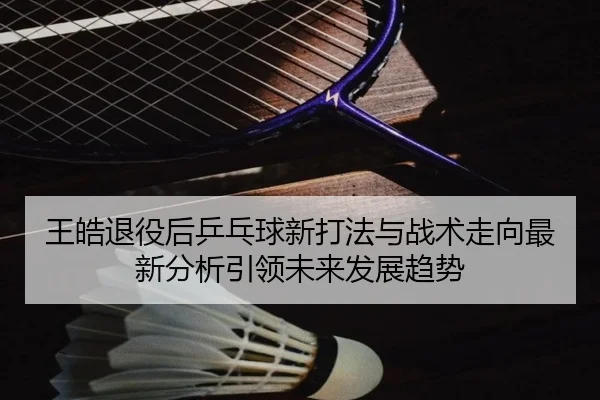 王皓退役后乒乓球新打法与战术走向最新分析引领未来发展趋势